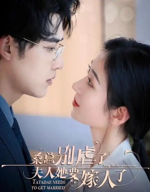 红果短剧 闪婚总裁的隐藏身份 封面
